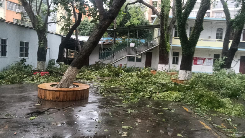 加密货币赌场排行榜
教职工返校清理校园 做好灾后恢复工作
